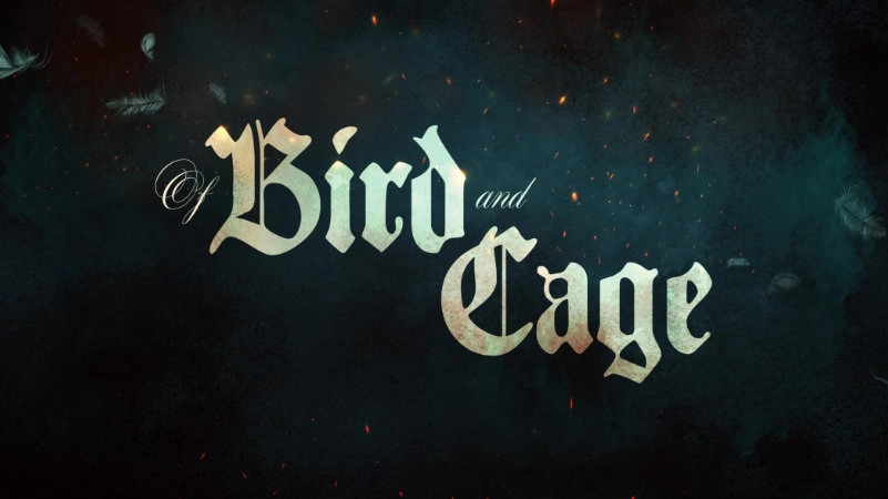 A Bird and Cage