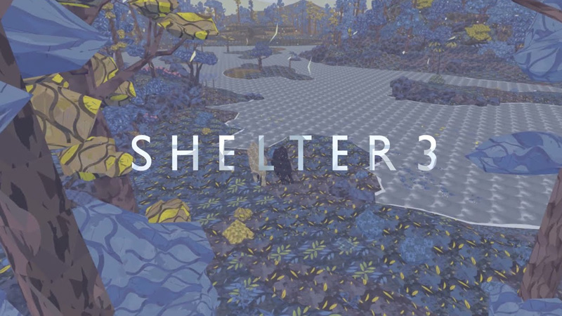 Shelter 3