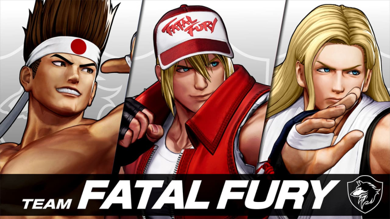 tem fatal fury